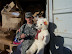 MWR 023.jpg