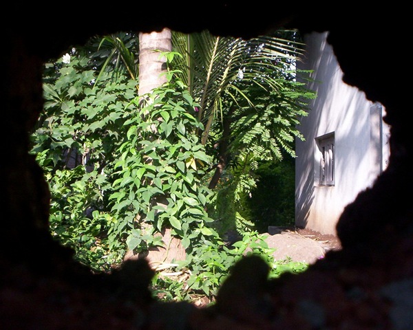 [East Corner of the Garden[25].jpg]