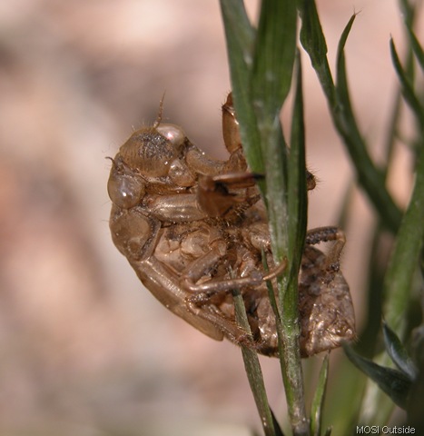 [DSCN0021[15].jpg]