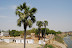 dsc_0185.jpg