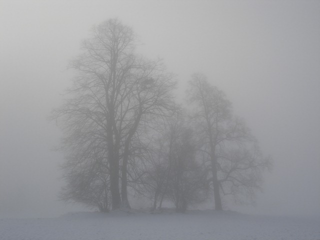 [Nebel[1].jpg]