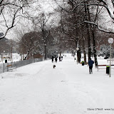  &ndash; A cruise through the park