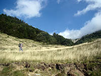 DSC09620.JPG Photo