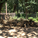 DSC03447.jpg DSC03447.jpg