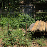 DSC03455.jpg DSC03455.jpg