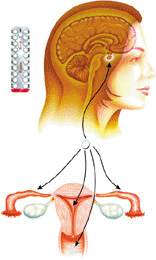 [clip_image020[3].gif]