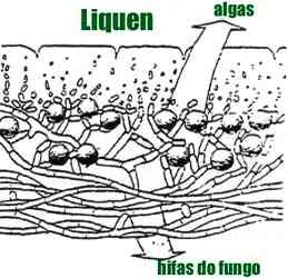 [clip_image003[3].jpg]