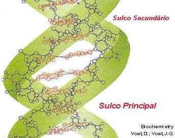 [clip_image012[3].jpg]