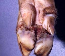 [clip_image020[3].jpg]