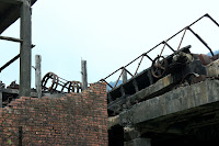 IMG_2033.JPG Photo