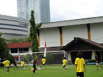 P8031219.JPG