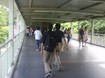 DSC00261.JPG