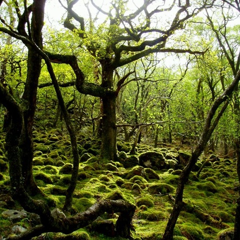 [P5050123[6].jpg]