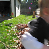  &ndash; 19-Oct-2008