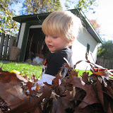  &ndash; 19-Oct-2008