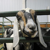  &ndash; 04-Nov-2007