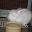  &ndash; 03-May-2009