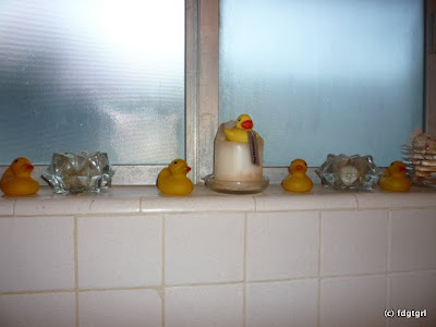 http://lh5.ggpht.com/_ww6ttbVula0/S0GWmhIVtyI/AAAAAAAAAJQ/EMNxbFDX9tQ/s400/P1000480.JPG