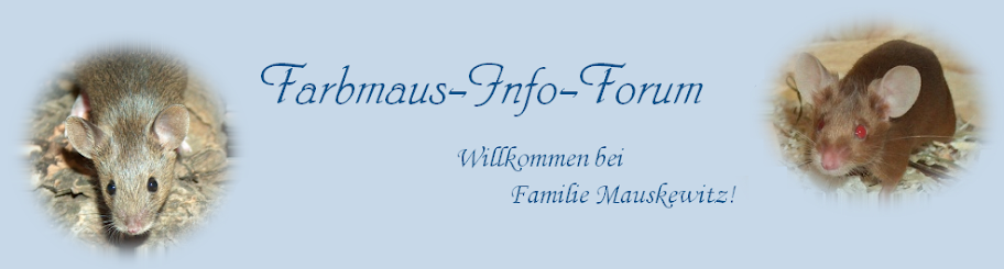 Farbmaus-Info-Forum