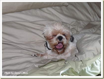 yawn