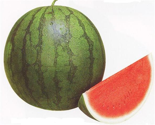 [image[5].png]
