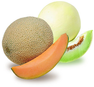 [image[5].png]