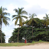  &ndash; Lumley Beach…. © 2007 NHA Photos