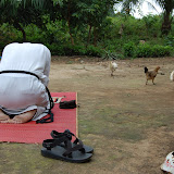  &ndash; Father Seraphim in prayer…. © 2007 NHA Photos