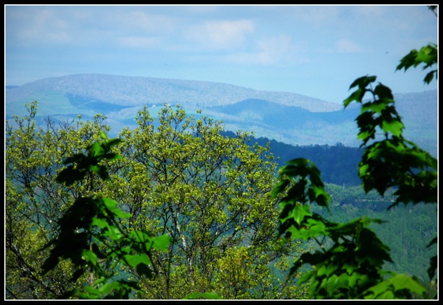 [Spring 10 031_800f[3].jpg]