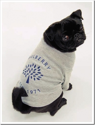 Mulberry dogs