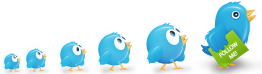 Twitter Button from twitbuttons.com