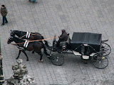 PICT3933.JPG