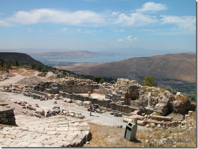 Gadara nymphaeum, tb060503129 Gadara nymphaeum, tb060503129