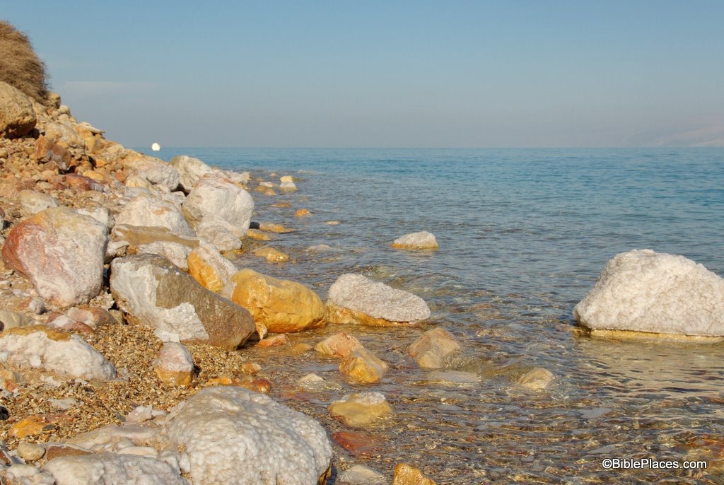 [Dead Sea shore with salt crystals, tb010810100[3].jpg]