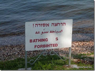 Bathing is Forbihted sign at En Gev, tb040104260