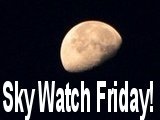 [sky+watch[2].jpg]