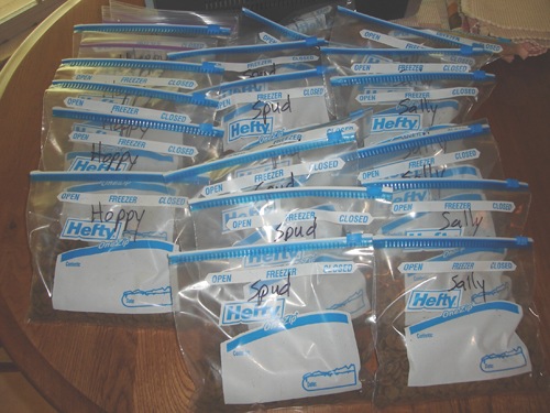 [batch 2 002[3].jpg]