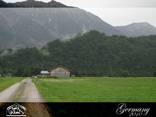 نقرتين لعرض الصورة في صفحة مستقلة