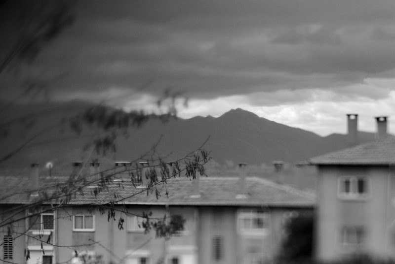 Seen by the Window