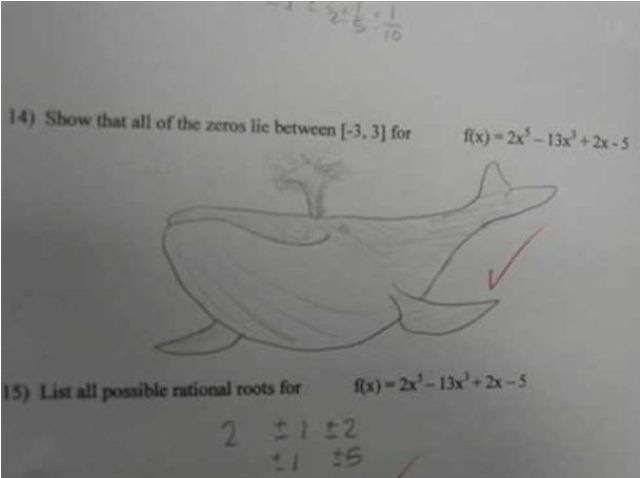 [unusual_exam_answers_640_16[2].jpg]