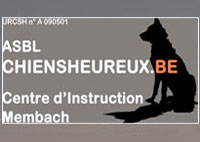 chien de d&eacute;combre tremblement de terre