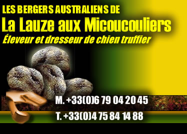 chien de cavage charente maritime
