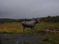 DSC02402.JPG