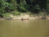 STP60544.JPG