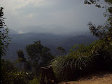 STP60572.JPG