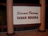 STP60625.JPG