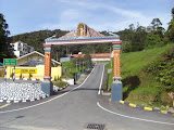 STP60653.JPG