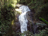 STP60656.JPG
