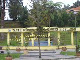 STP60664.JPG