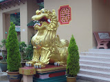 STP60729.JPG